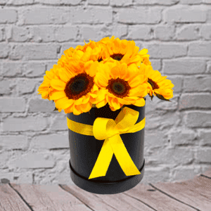 Box Girasol 01